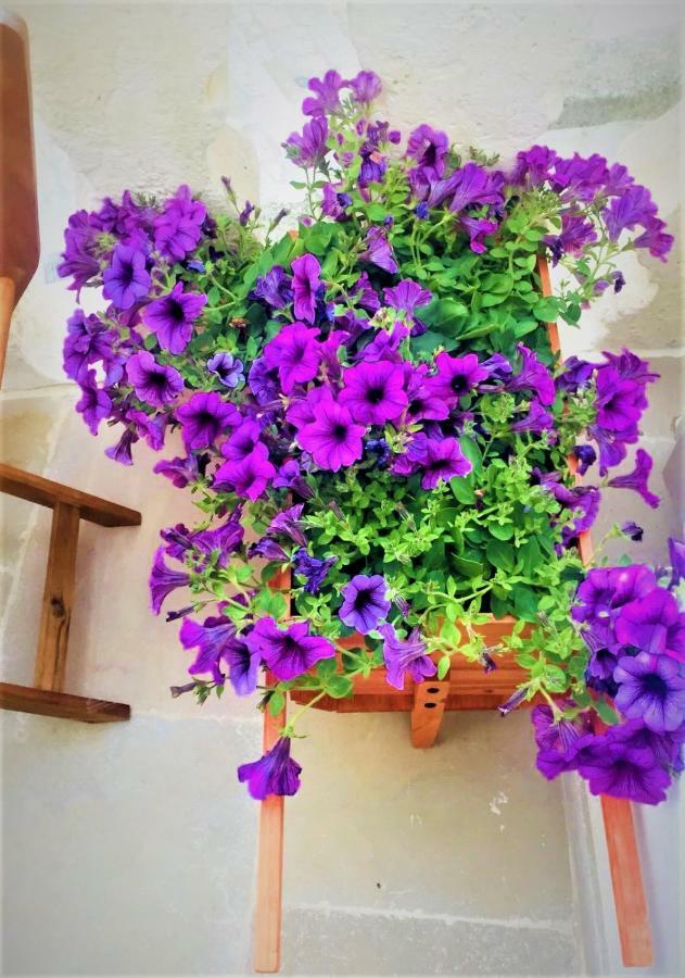 Casa Flami' Appartement Ostuni Buitenkant foto